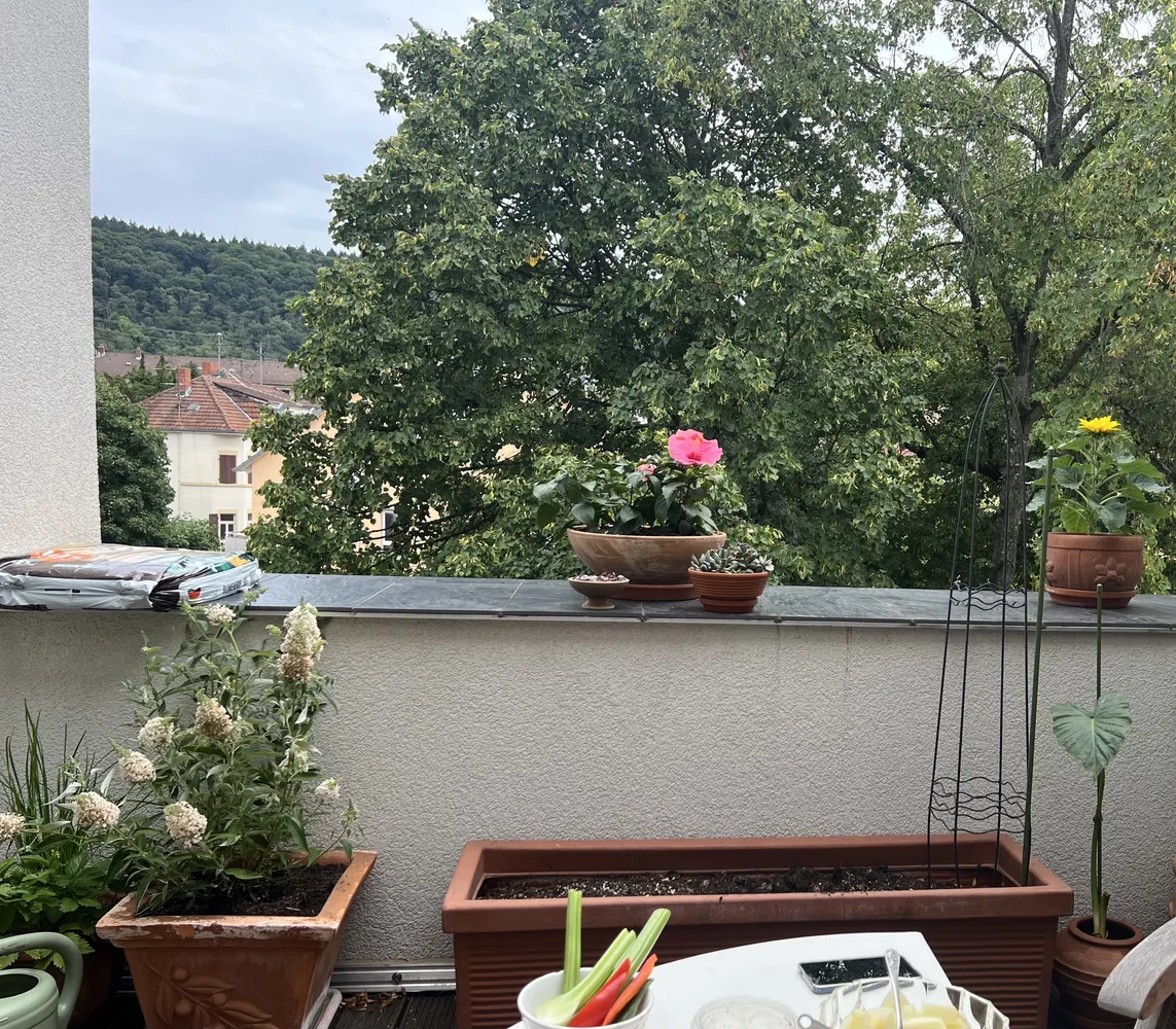 2 Zimmer Wohnung mit 46 m² in Heidelberg – Bild 4