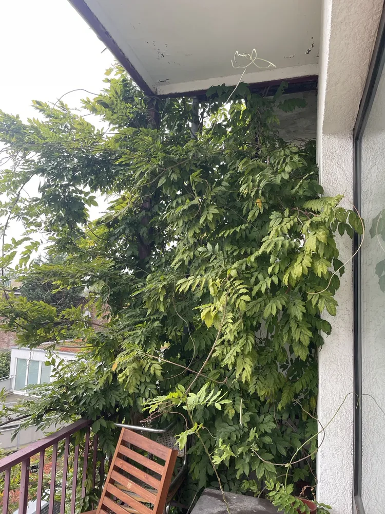 2 Zimmer Wohnung mit 55 m² in Düsseldorf – Bild 7