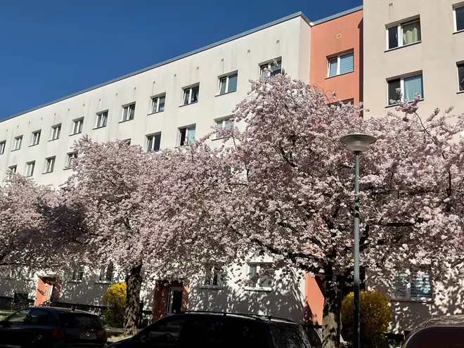 3 Zimmer Wohnung mit 57 m² in Dresden – Bild 1