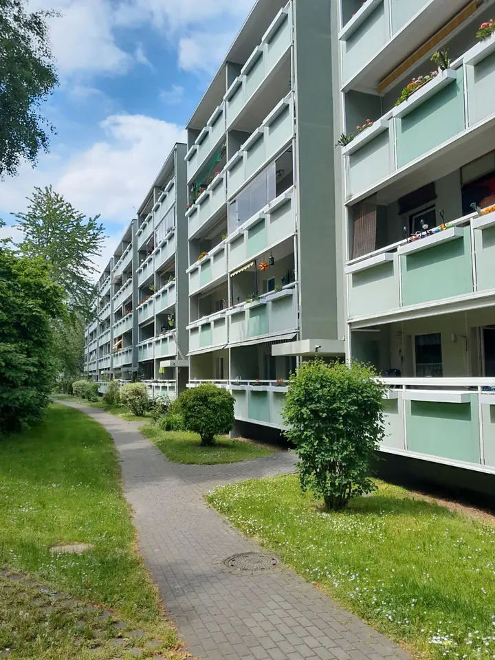 3 Zimmer Wohnung mit 63 m² in Dresden – Bild 2