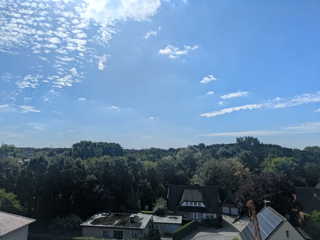 3 Zimmer Wohnung mit 80 m² in Münster – Bild 2