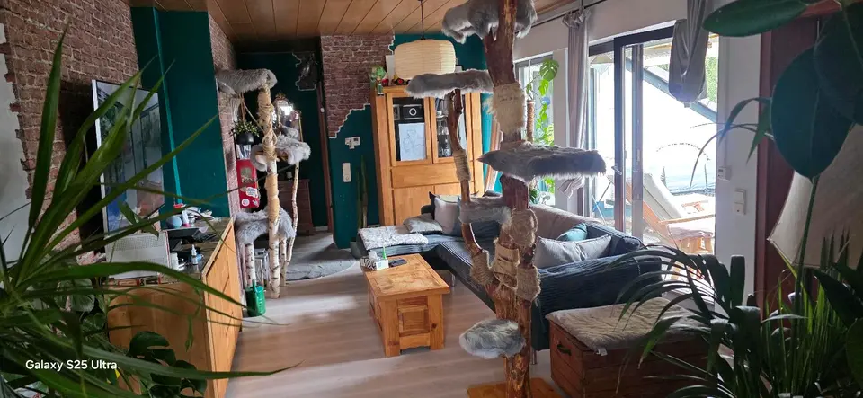 3 Zimmer Wohnung mit 72 m² in Hennef – Bild 3