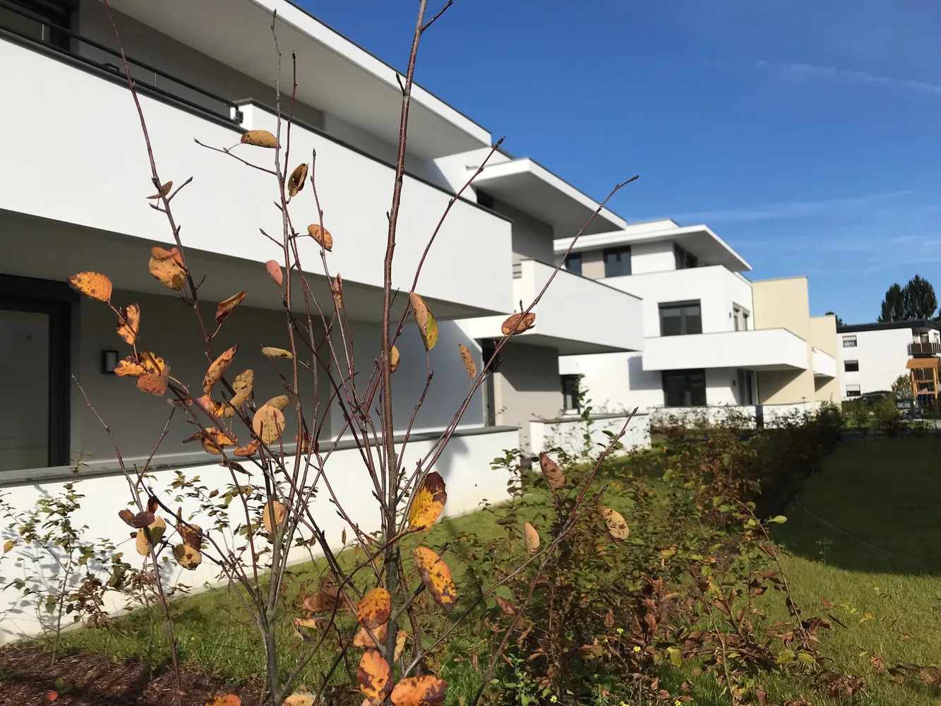 3 Zimmer Wohnung mit 136 m² in Köln – Bild 6