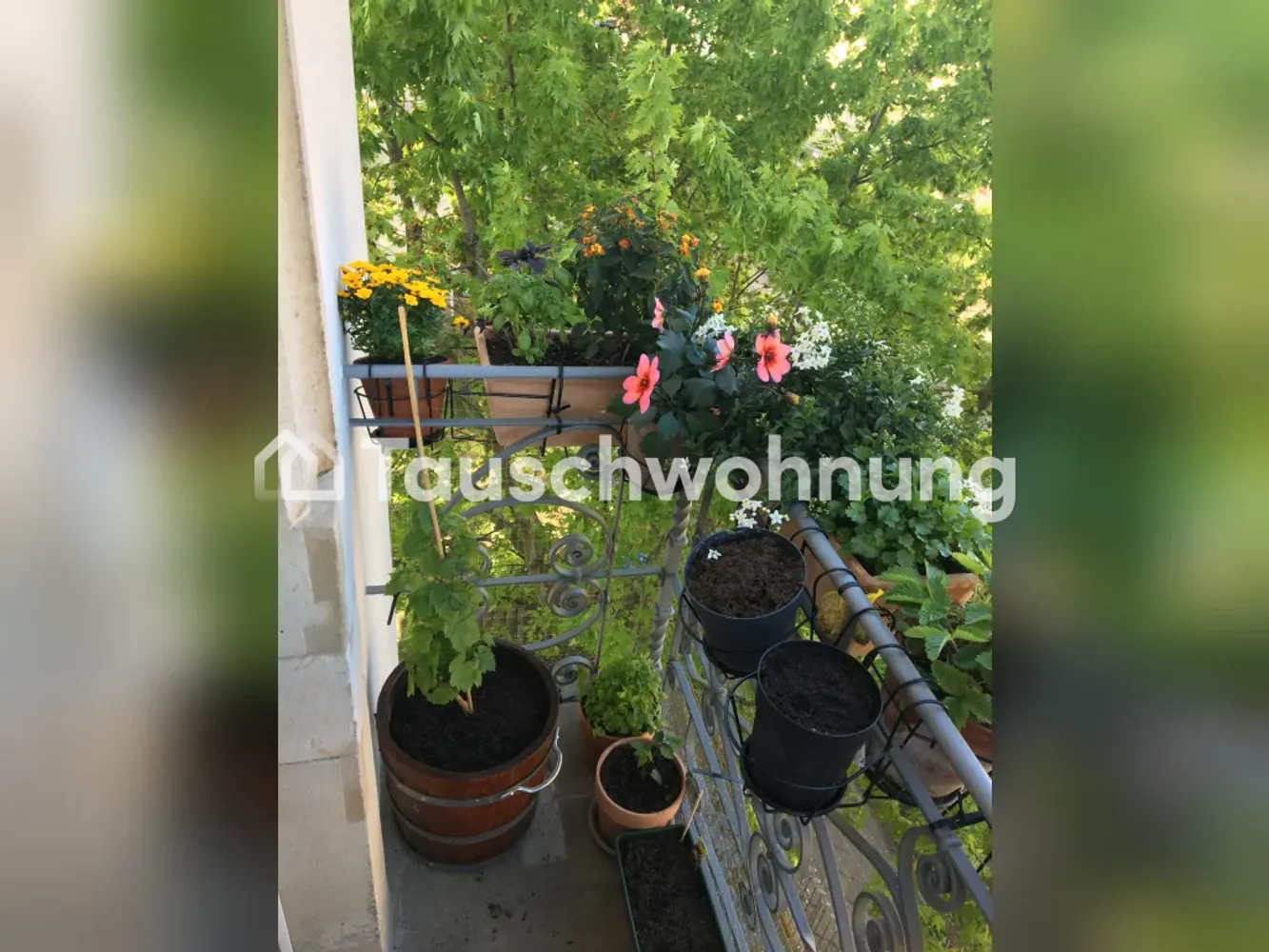 3 Zimmer Wohnung mit 72 m² in Dresden – Bild 2