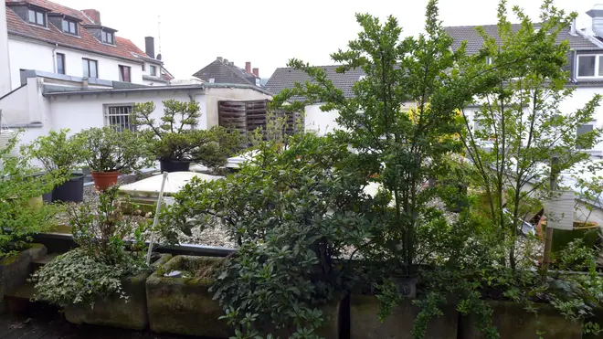 5 Zimmer Wohnung mit 120 m² in Aachen – Bild 10