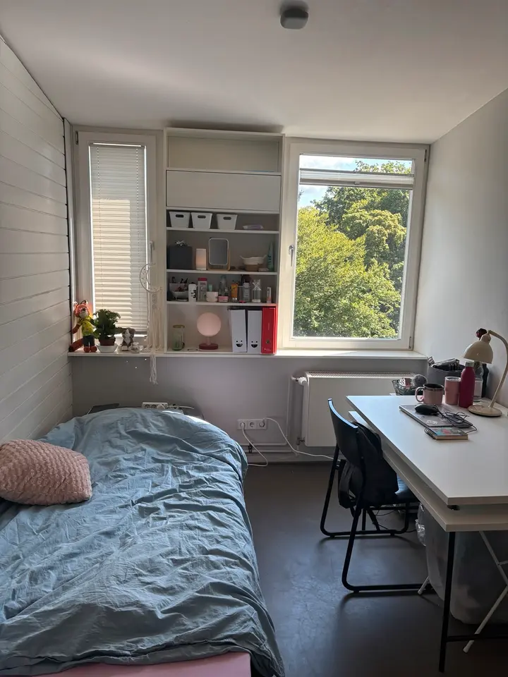 WG-Zimmer mit 60 m² in Luckenwalde – Bild 1