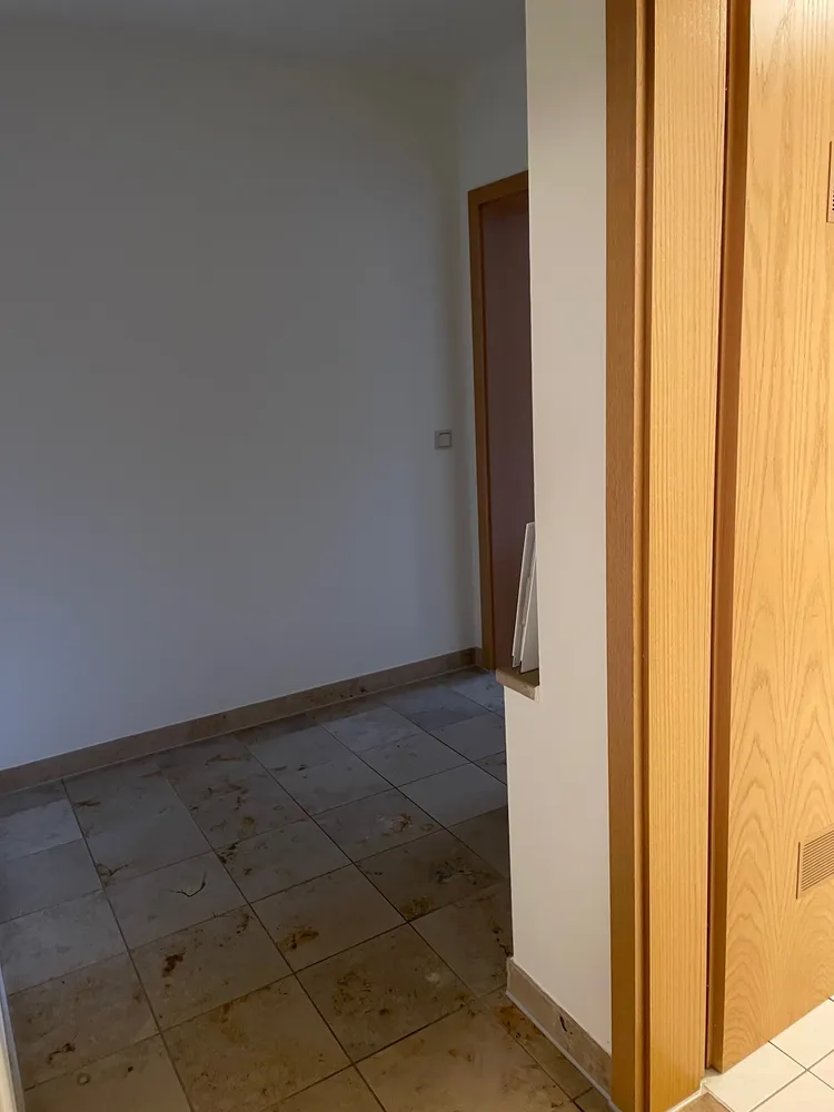 2 Zimmer Wohnung mit 53 m² in Dresden – Bild 2