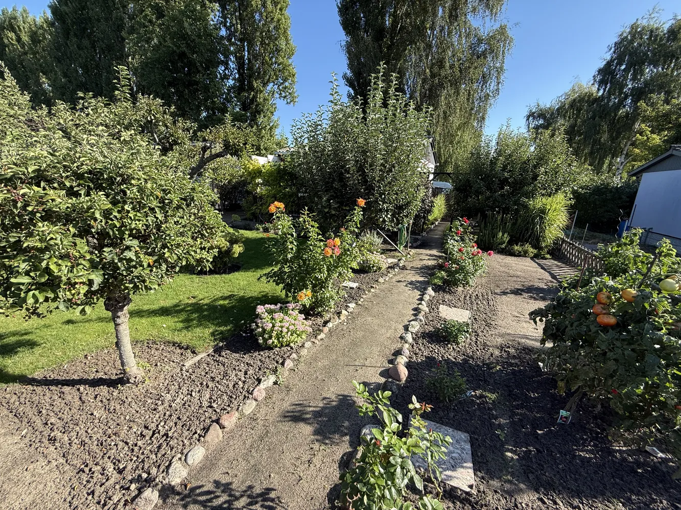 1 Zimmer Haus mit 28 m² in Werder (Havel) – Bild 1
