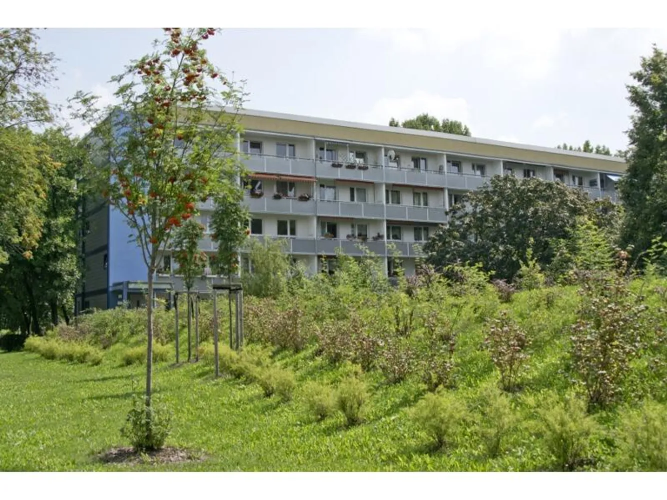 3 Zimmer Wohnung mit 59 m² in Halle (Saale) – Bild 2