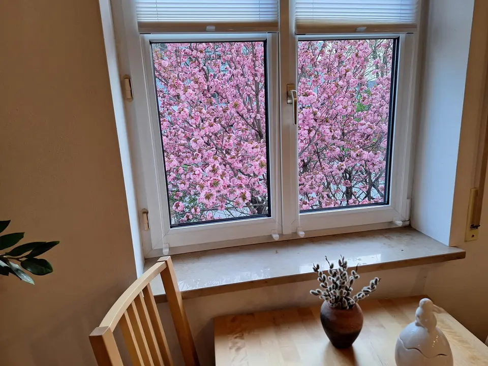 3 Zimmer Wohnung mit 92 m² in Ingolstadt – Bild 6