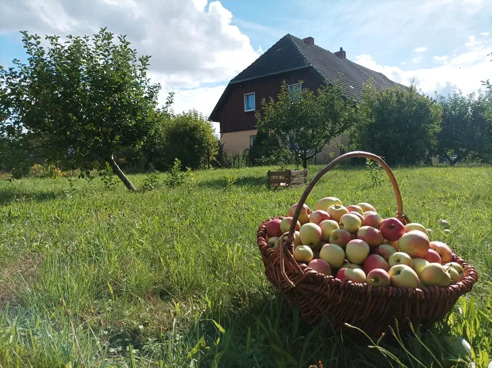Shared room with 16 m² in Eberswalde – Photo 6