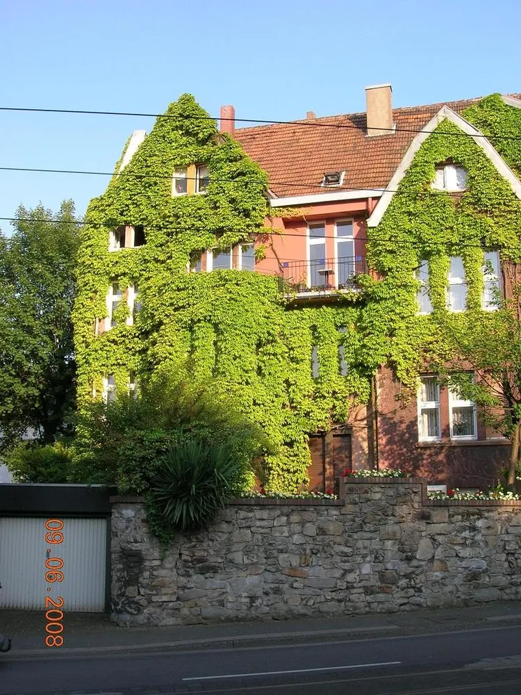 3 Zimmer Wohnung mit 90 m² in Essen – Bild 8