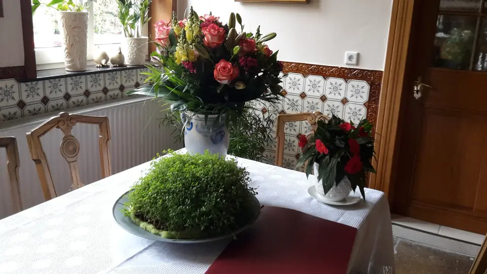 12 Zimmer Haus mit 238 m² in Emsdetten – Bild 4