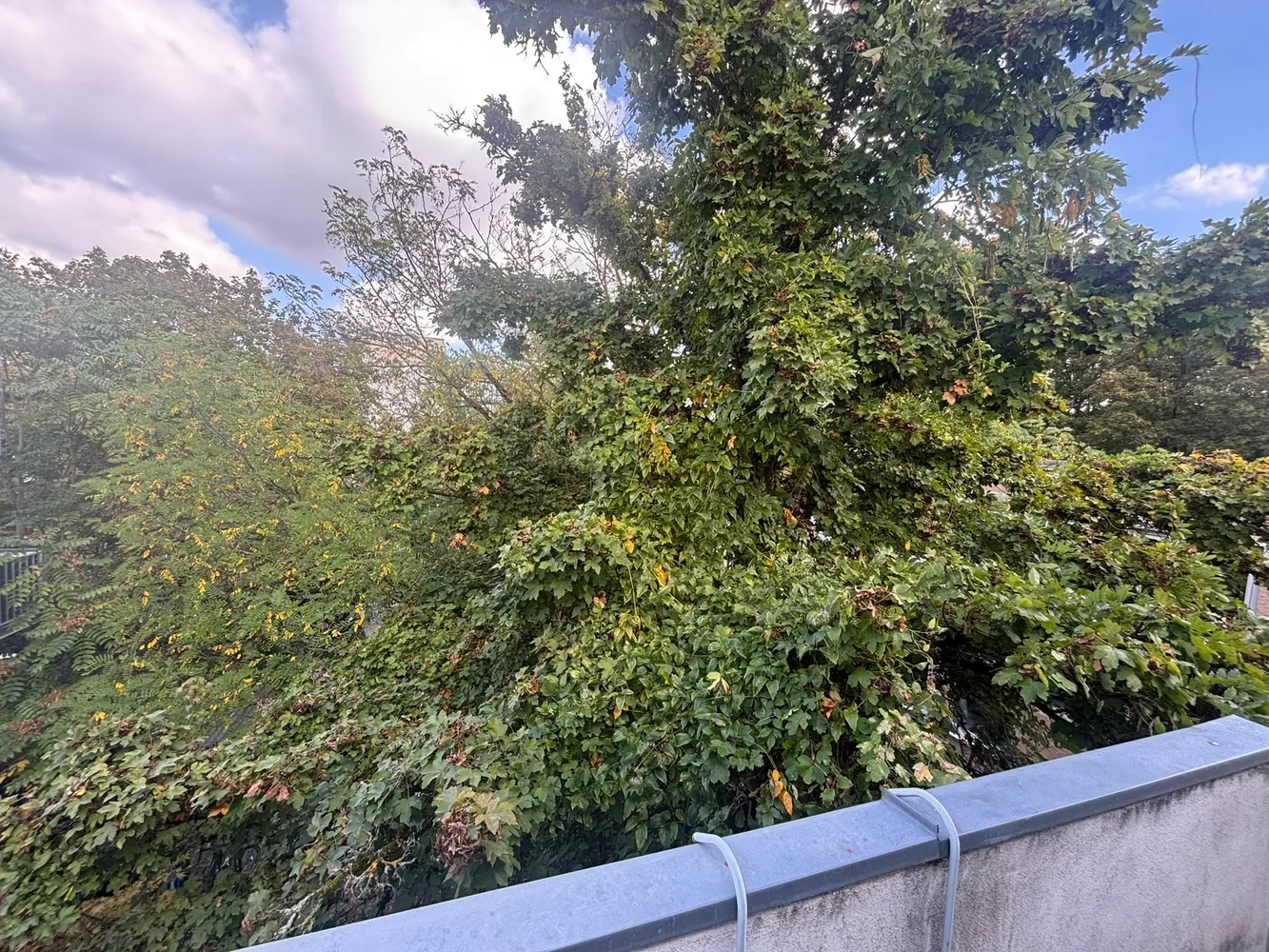1 Zimmer Wohnung mit 36 m² in Mainz – Bild 4