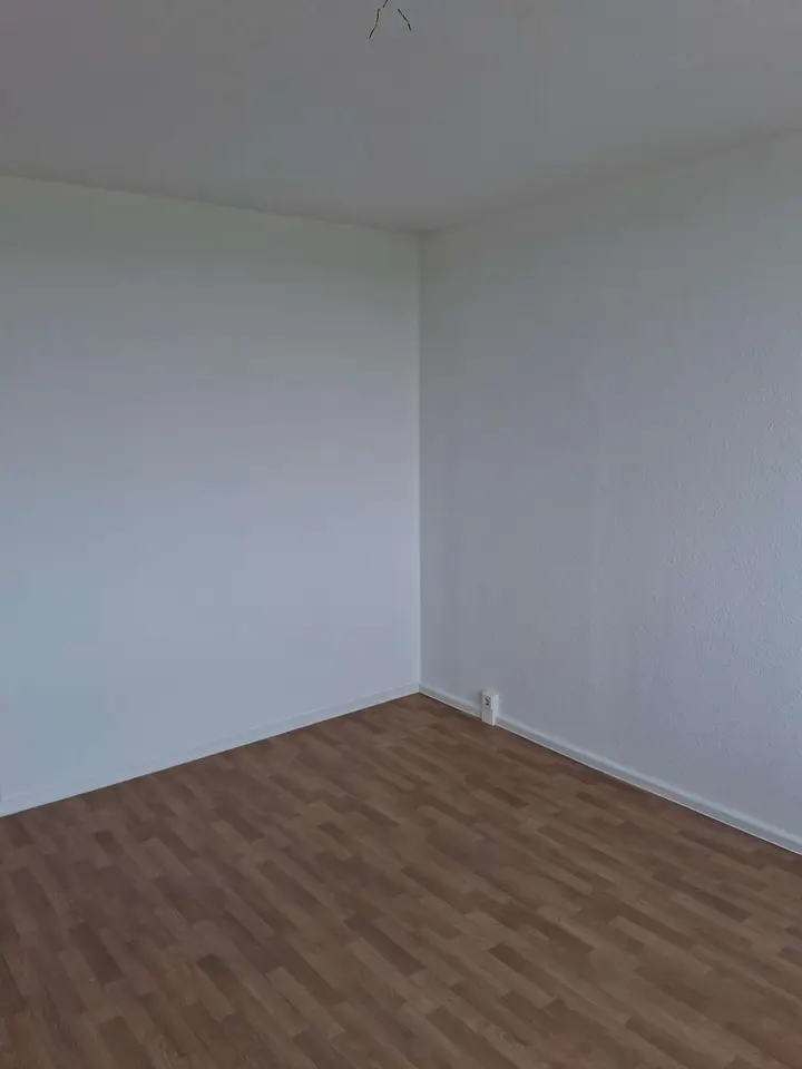 2 Zimmer Wohnung mit 43 m² in Dresden – Bild 2