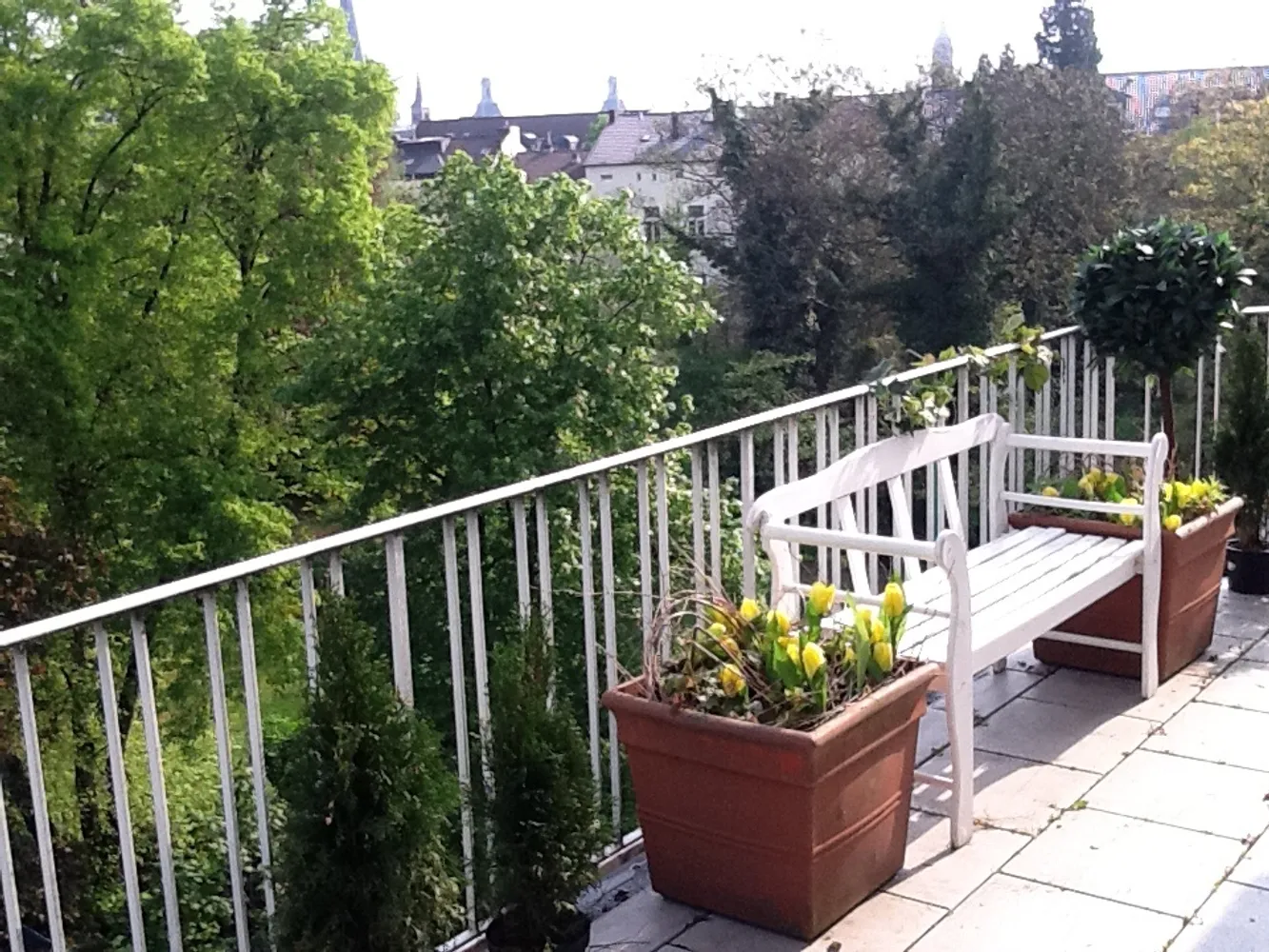 2 room apartment with 76 m² in Bonn – Photo 4
