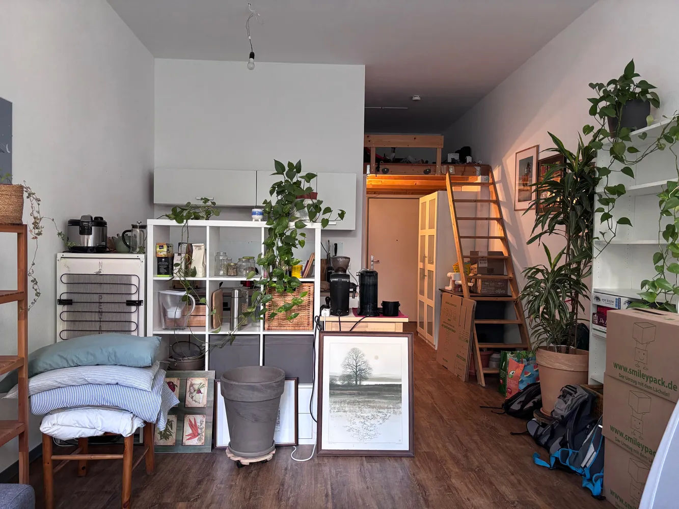 1 Zimmer Wohnung mit 37 m² in Mainz – Bild 2