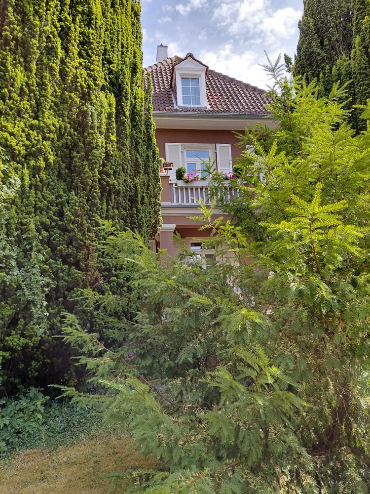 3 Zimmer Wohnung mit 100 m² in Bad Kreuznach – Bild 2