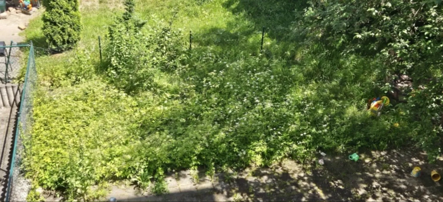 4 room apartment with 95 m² in Chemnitz – Photo 4