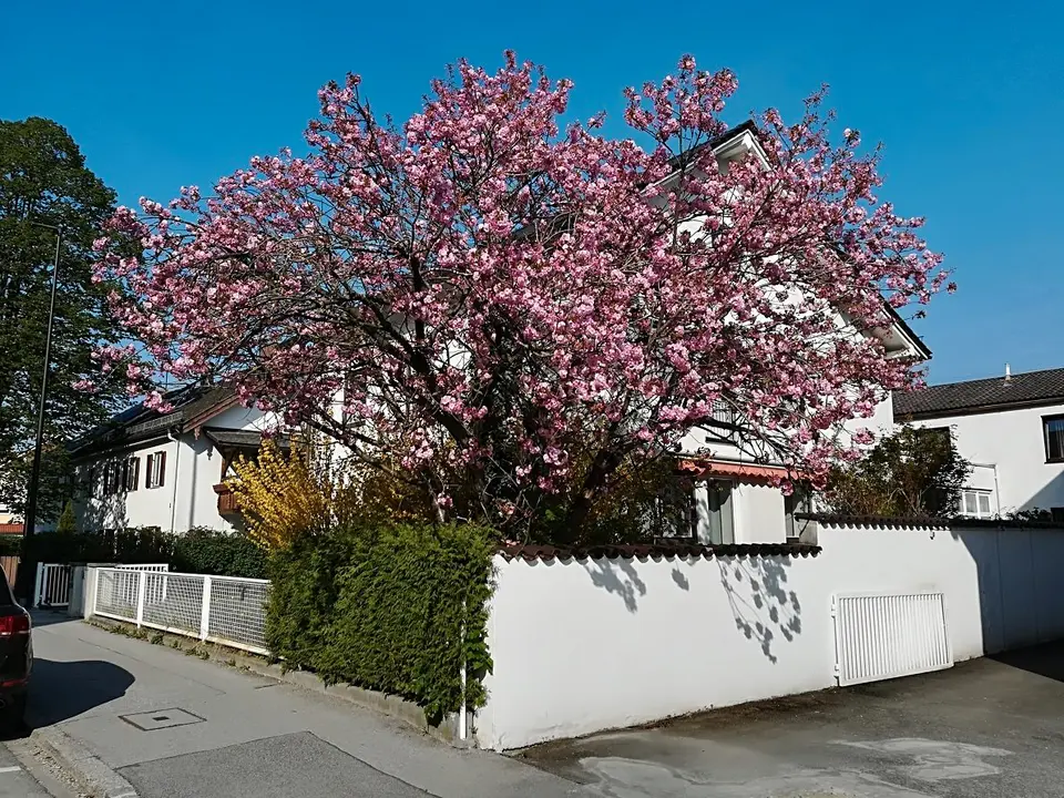 3 Zimmer Wohnung mit 78 m² in Weilheim in Oberbayern – Bild 4