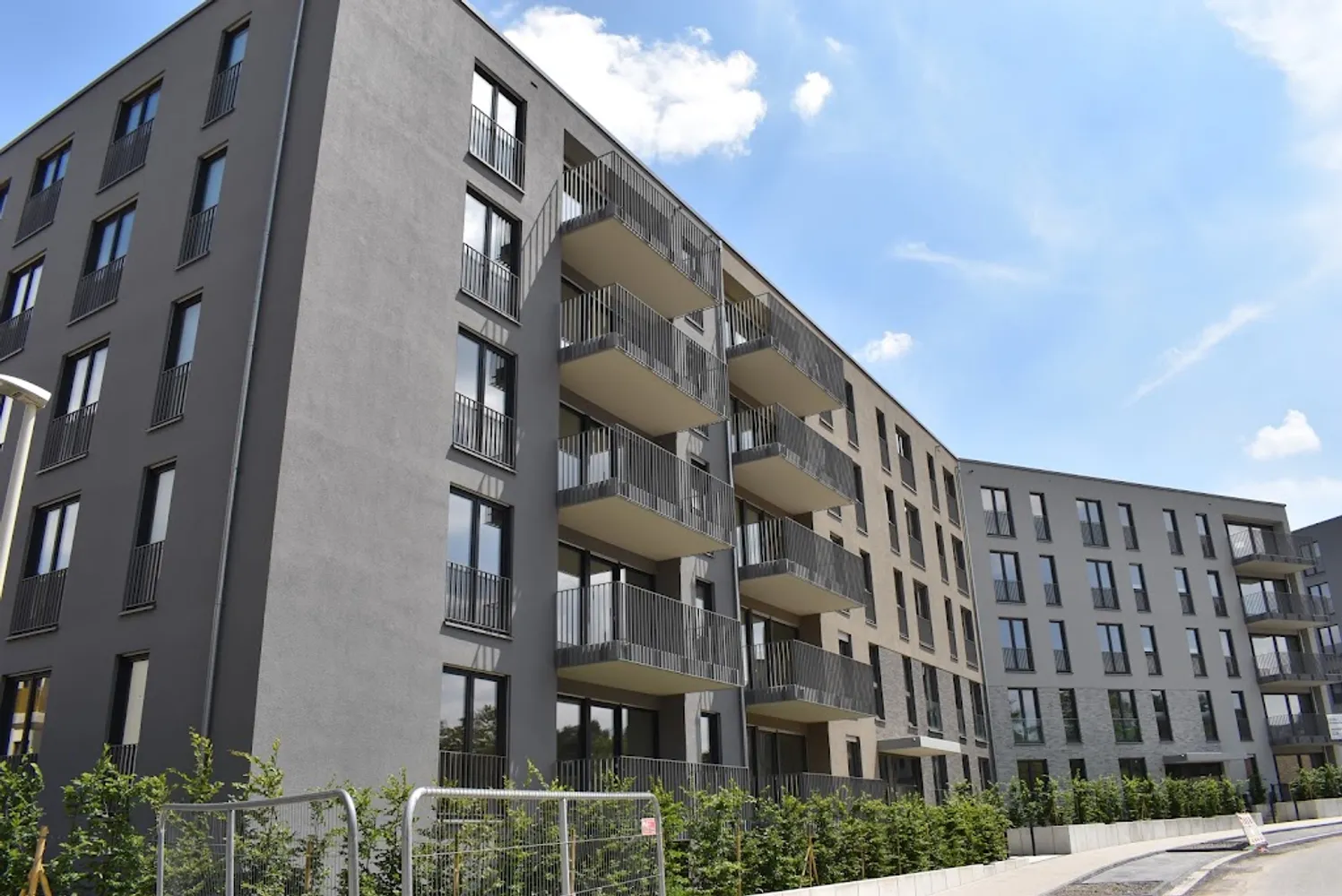 3 Zimmer Wohnung mit 80 m² in Bonn – Bild 4