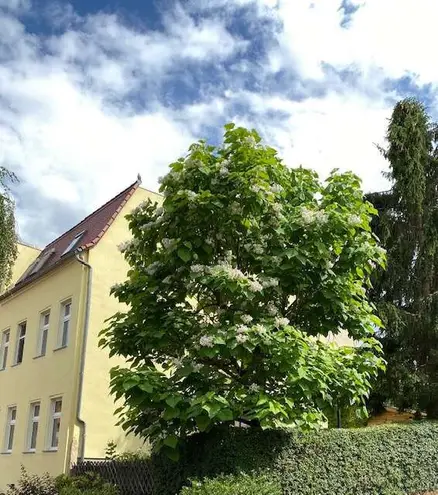 2 Zimmer Wohnung mit 70 m² in Halle (Saale) – Bild 2