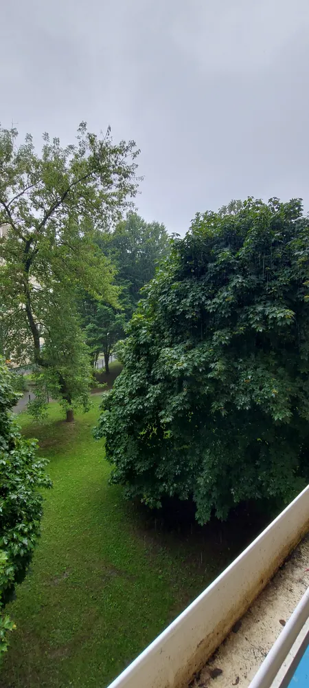 2 room apartment with 51 m² in Dresden – Photo 10