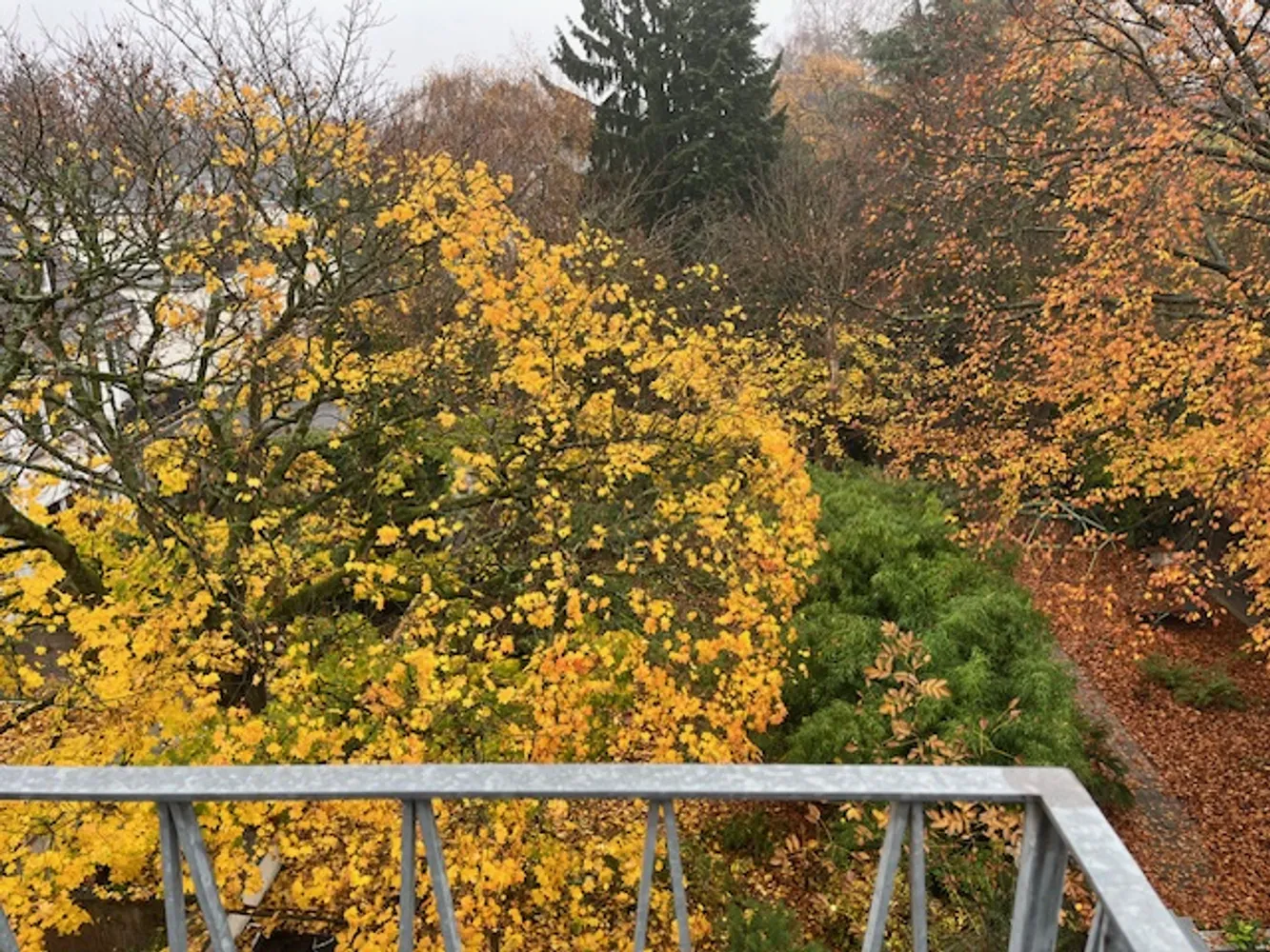 2 Zimmer Wohnung mit 85 m² in Mönchengladbach – Bild 8
