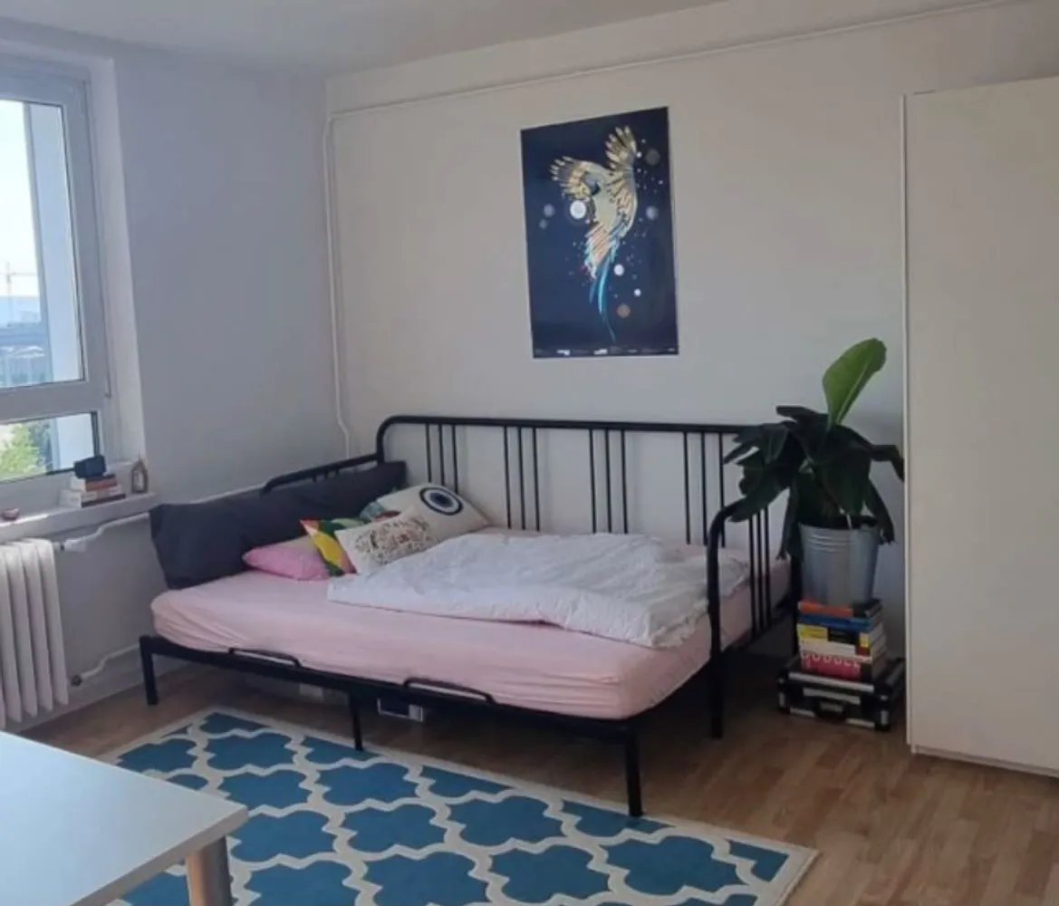 1 Zimmer Wohnung mit 27 m² in Dresden – Bild 1