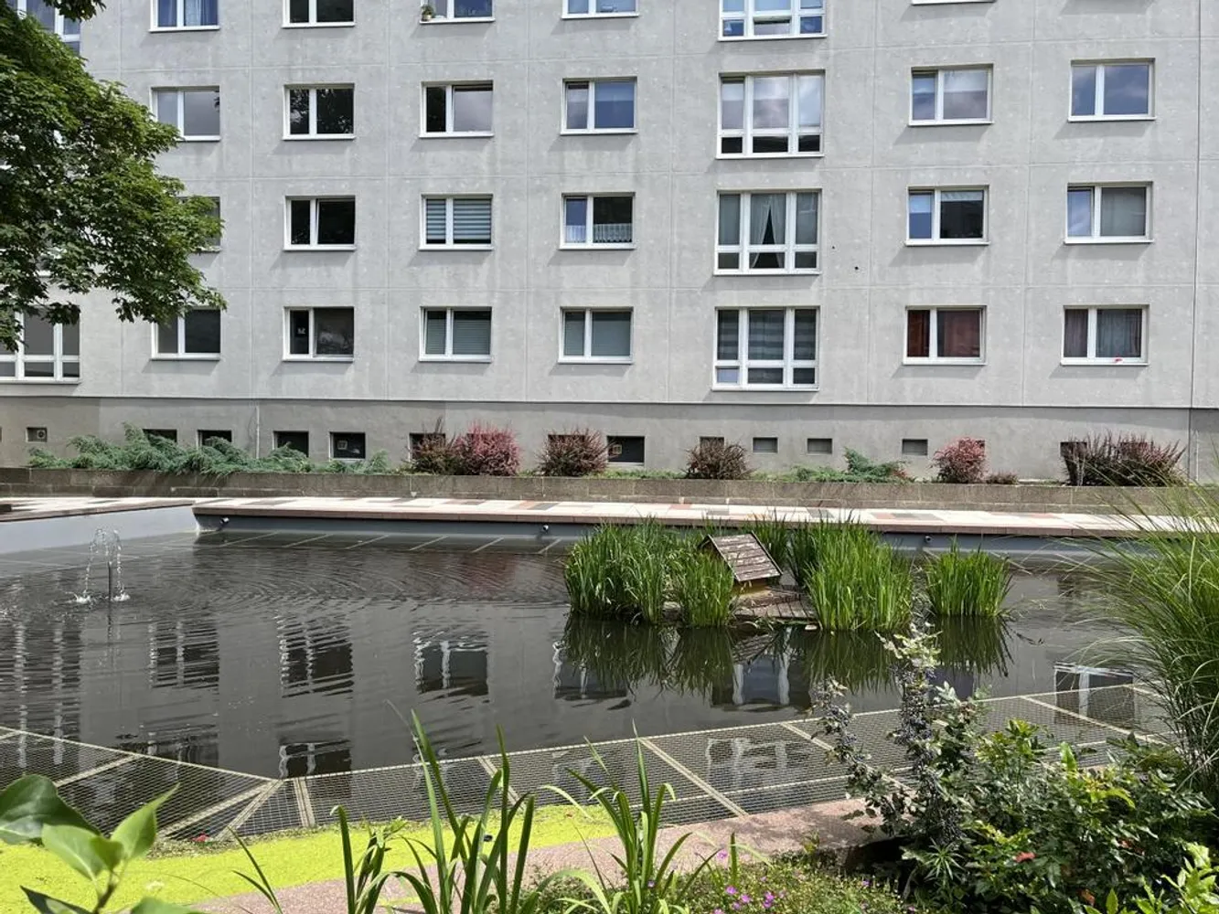 2 room apartment with 61 m² in Chemnitz – Photo 4