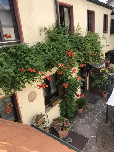 2 Zimmer Wohnung mit 35 m² in Wiesbaden – Bild 2