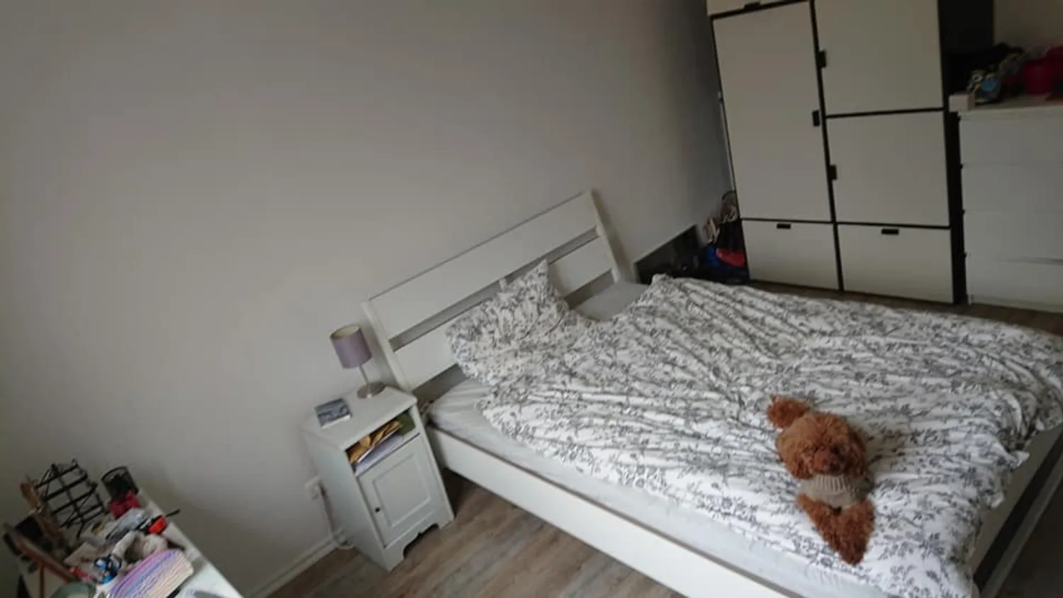 2 Zimmer Wohnung mit 520 m² in Dresden – Bild 9