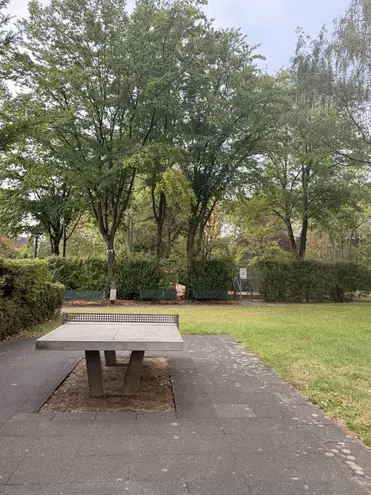 3 Zimmer Wohnung mit 92 m² in Köln – Bild 4