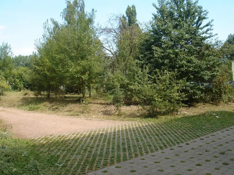 2 room apartment with 45 m² in Chemnitz – Photo 9