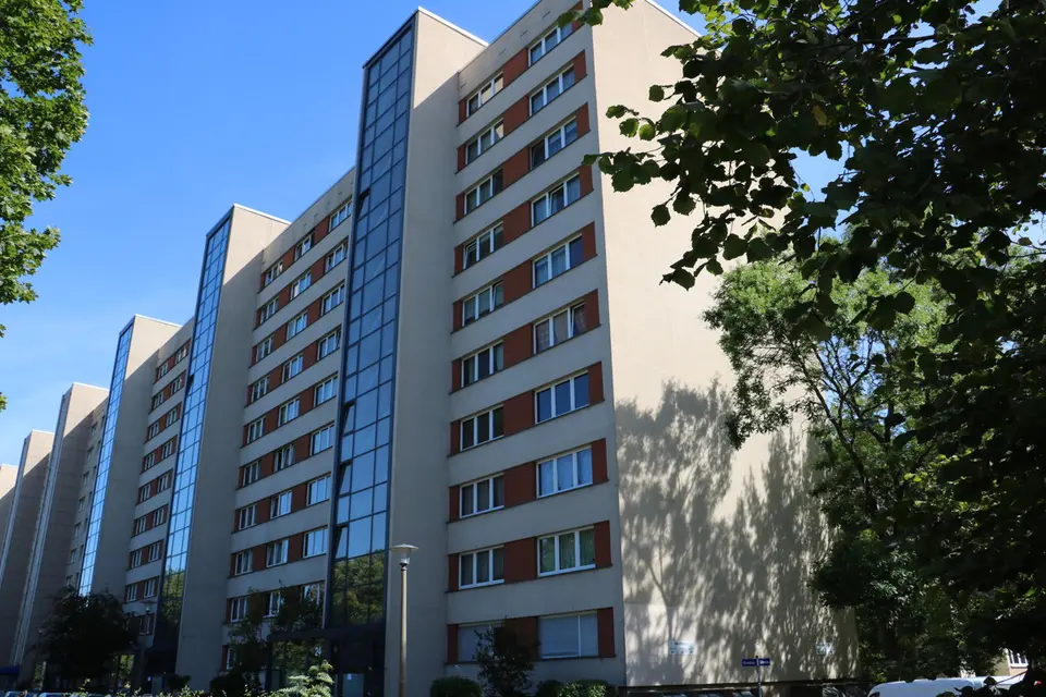 3 Zimmer Wohnung mit 81 m² in Dresden – Bild 5