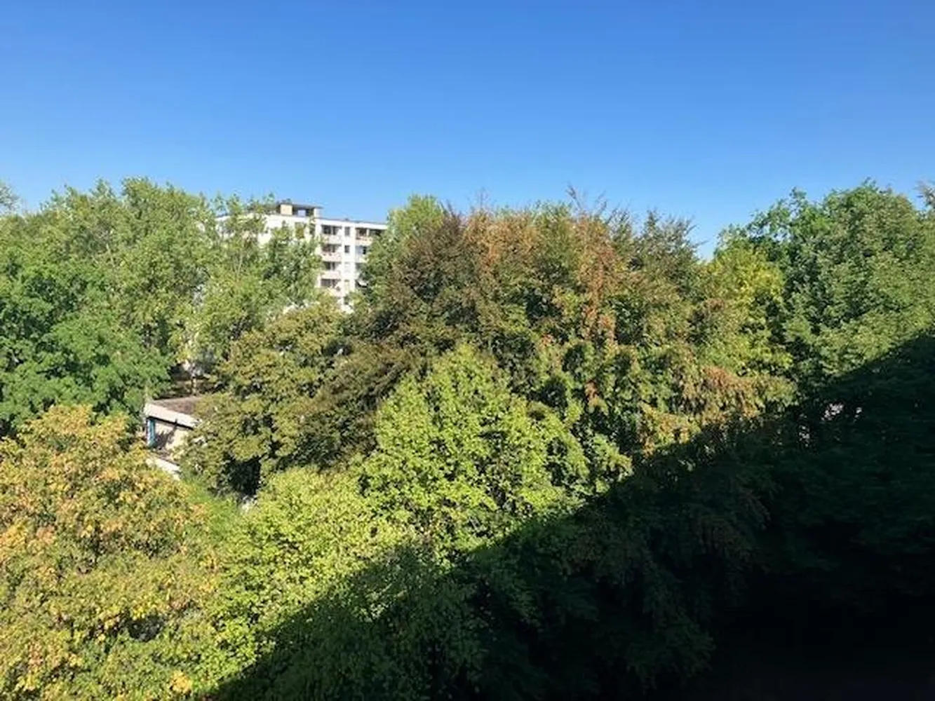 2 Zimmer Wohnung mit 55 m² in München – Bild 3