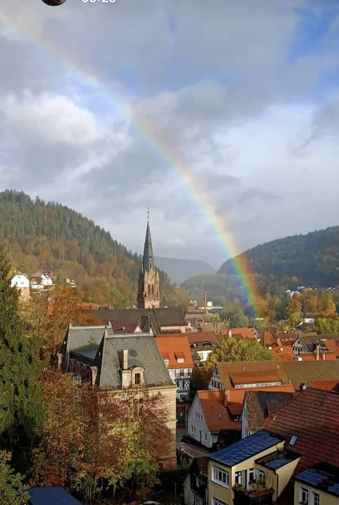 3 Zimmer Wohnung mit 60 m² in Calw – Bild 2