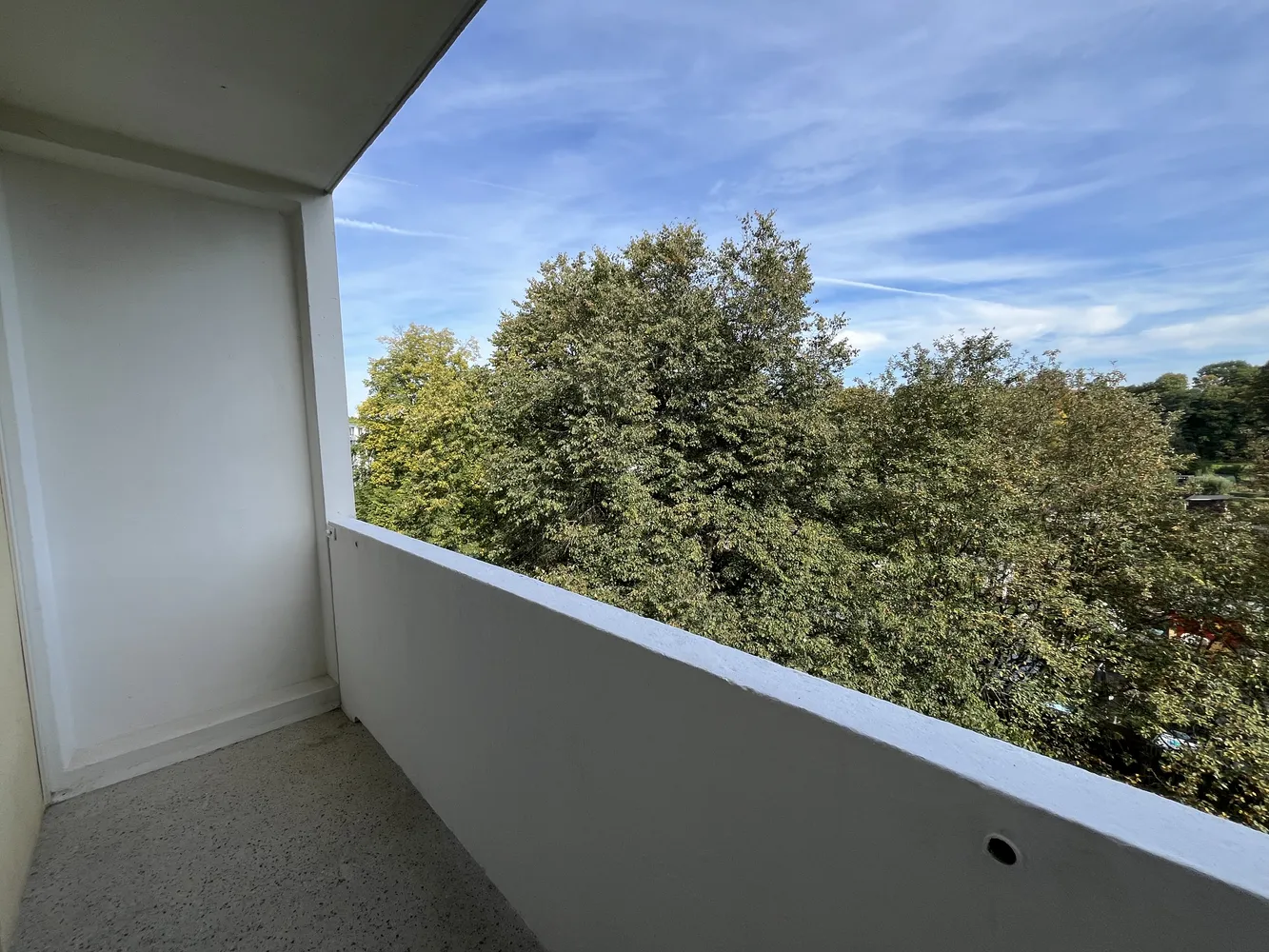 3 room apartment with 60 m² in Chemnitz – Photo 3