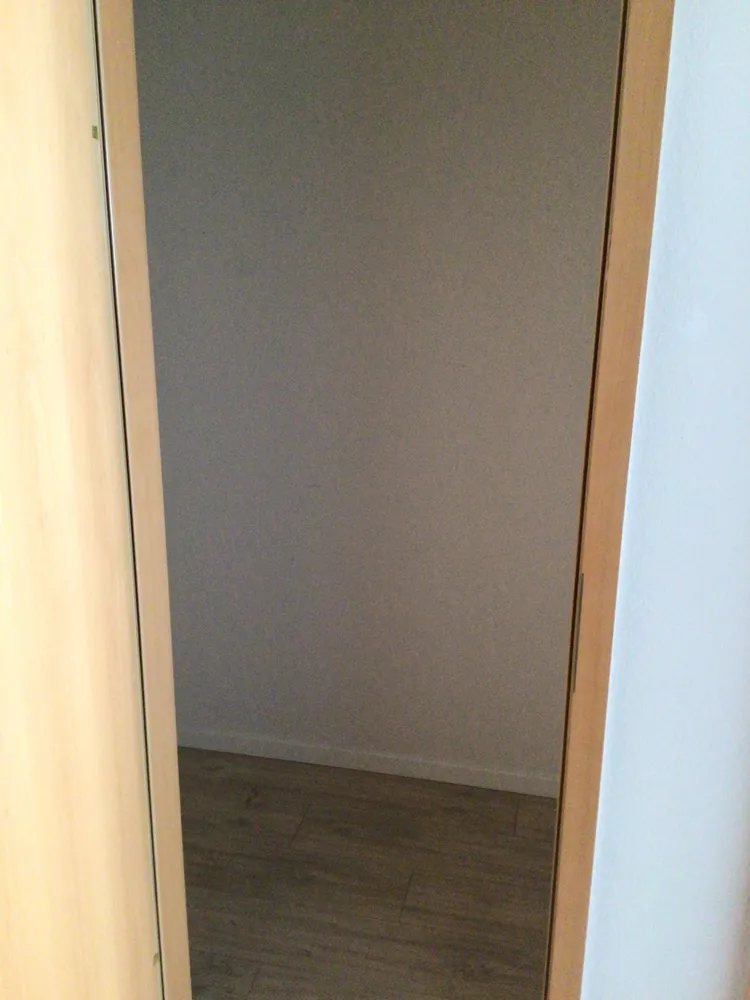1 room apartment with 44 m² in Dresden – Photo 3