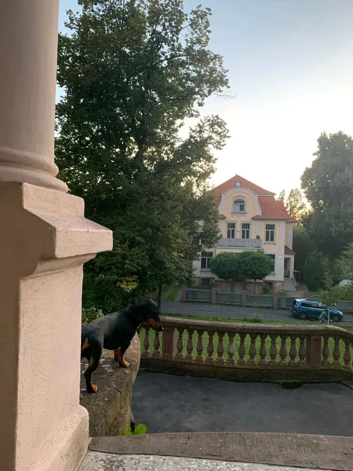 2 Zimmer Wohnung mit 19 m² in Göttingen – Bild 4