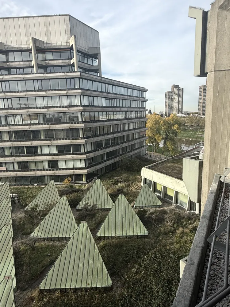 2 Zimmer Wohnung mit 63 m² in Mannheim – Bild 6