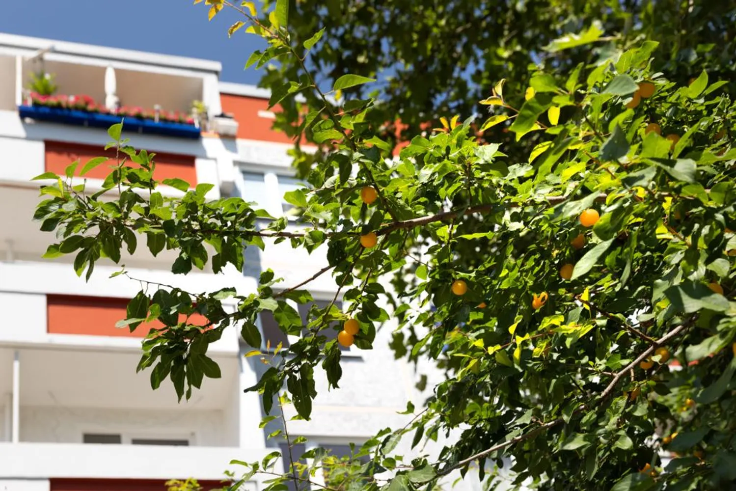 6 Zimmer Wohnung mit 112 m² in Halle (Saale) – Bild 3