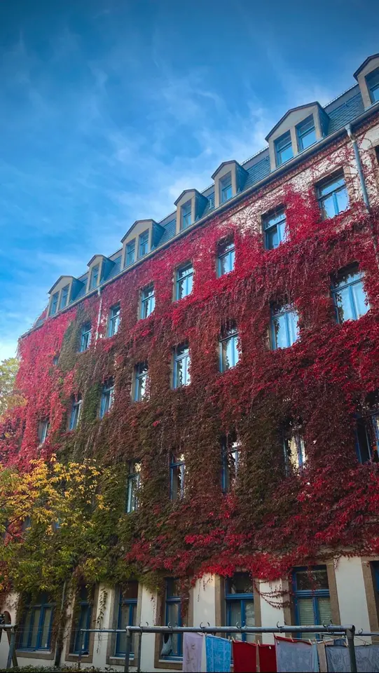 2 Zimmer Wohnung mit 36 m² in Dresden – Bild 6