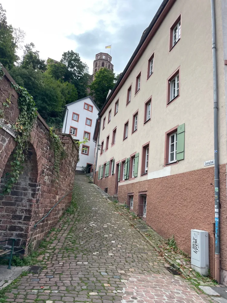 2 Zimmer Wohnung mit 68 m² in Heidelberg – Bild 1