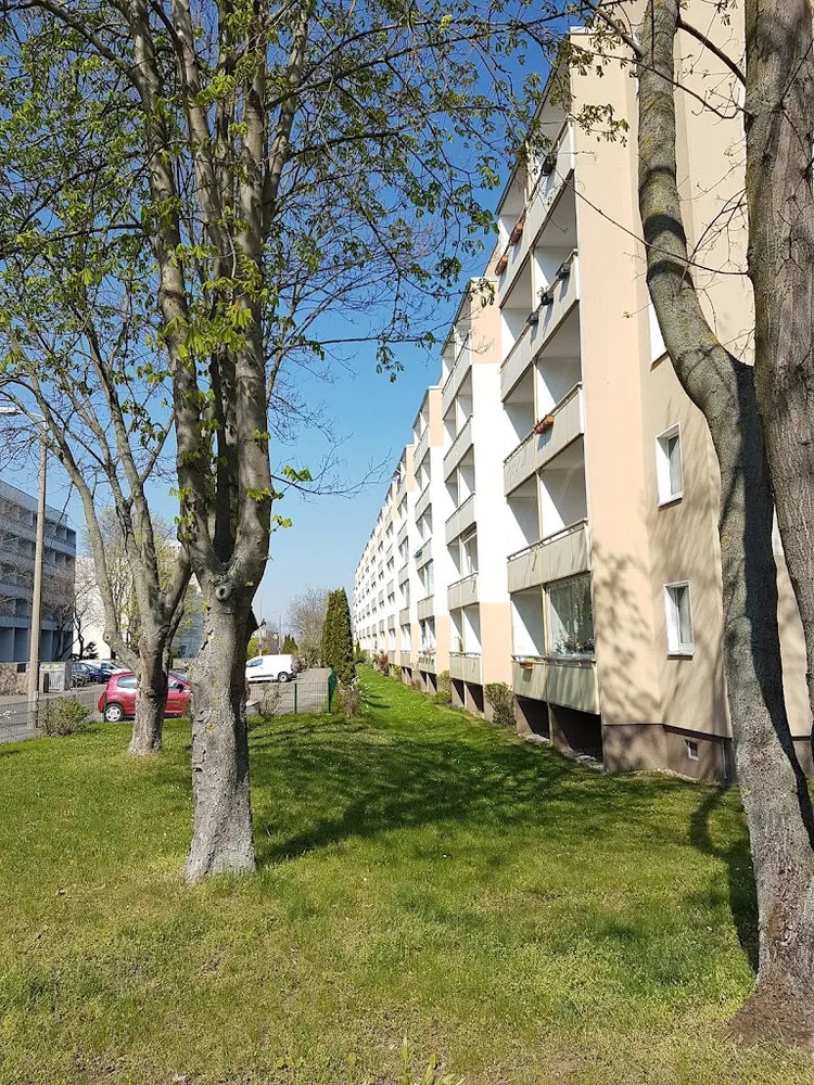 3 Zimmer Wohnung mit 57 m² in Magdeburg – Bild 3