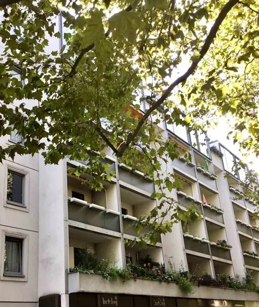 3 Zimmer Wohnung mit 57 m² in Dresden – Bild 6