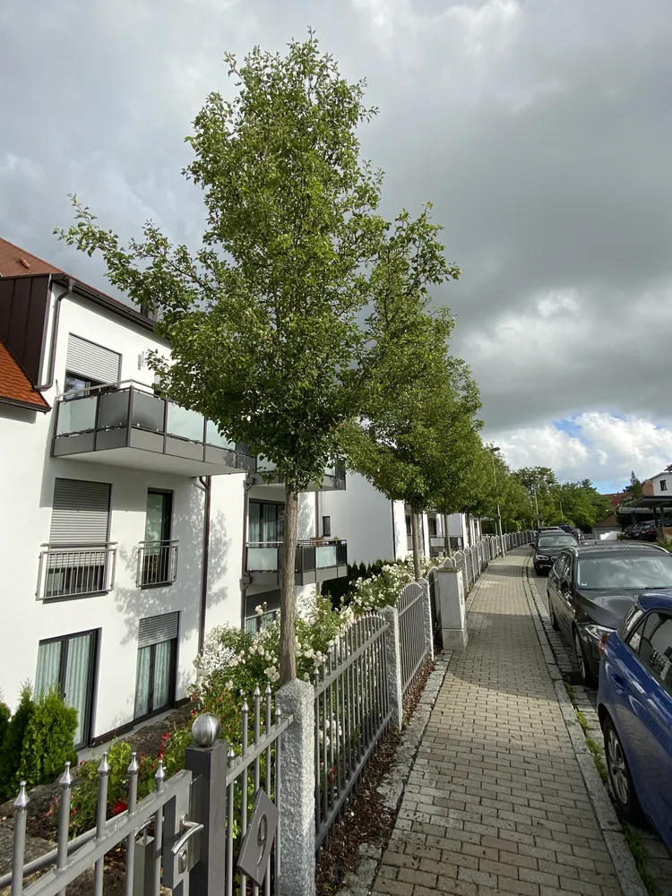 2 Zimmer Wohnung mit 66 m² in Landshut – Bild 11