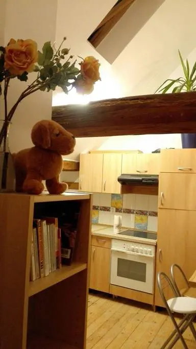 Studio mit 29 m² in Heidelberg – Bild 5