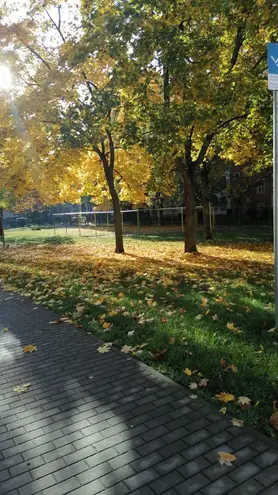 4 Zimmer Wohnung mit 77 m² in Dresden – Bild 2