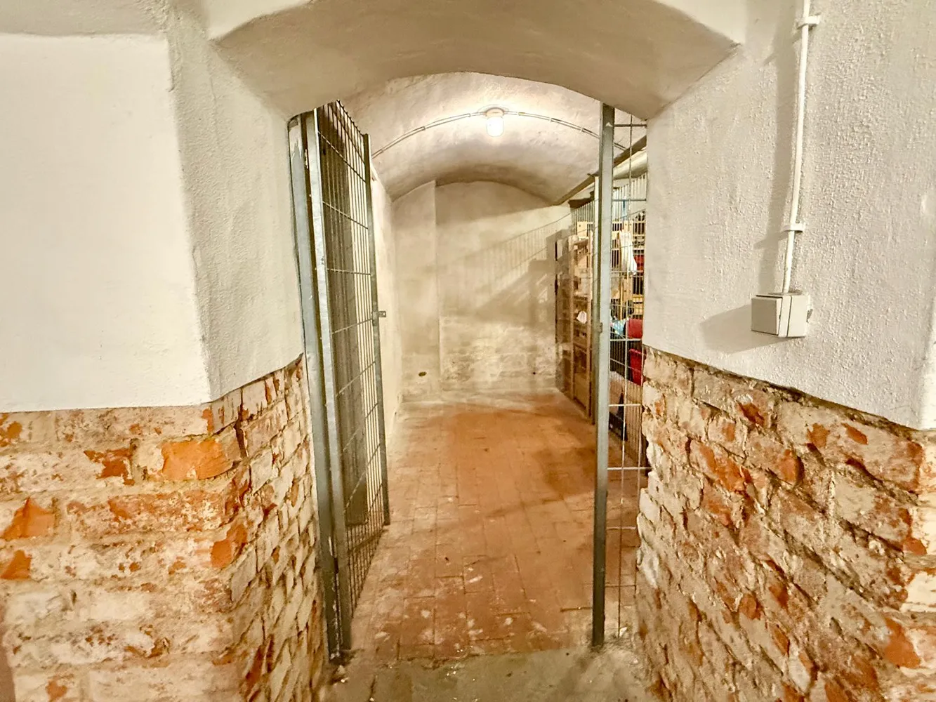 3 room apartment with 61 m² in Dresden – Photo 11